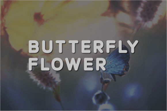 Butterfly Flower: A Modern Sans Serif Font for Editorial Design