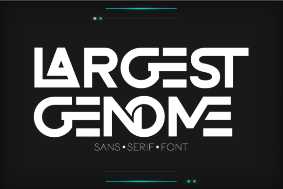 Largest Genome Font for Professional Branding