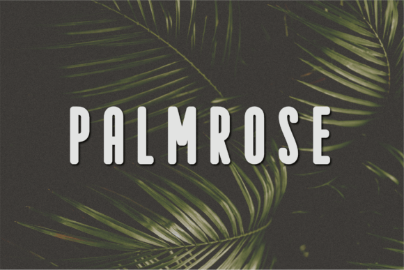 Palmrose: A Modern Sans Serif Font for Campaign Creativity