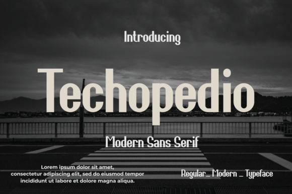 Techopedio: A Modern Sans Serif Font for Branding
