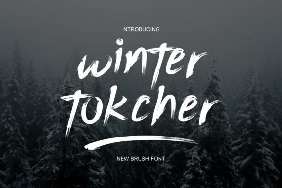 Winter Tokcher Font for Seasonal Campaigns